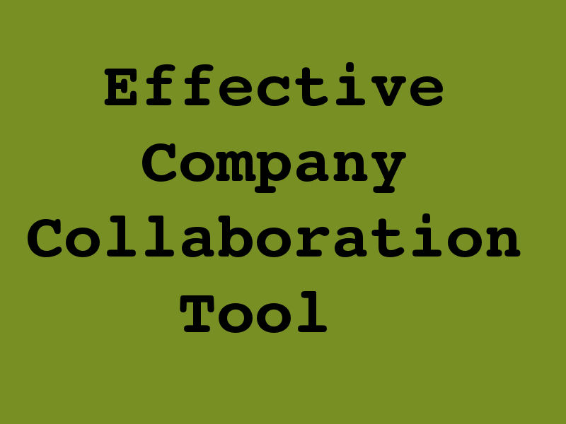 Company Collaboration Software
