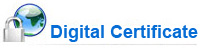 Creative offer Digital Certificate