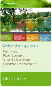 Flash websites designing