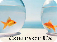 CONTACT US India, UK, UAE, USA, Europe, Asia