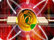Creative Web Promotion India, UK, UAE, USA, Europe, Asia