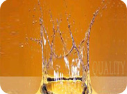 Quality Systems India, UK, UAE, USA, Europe, Asia